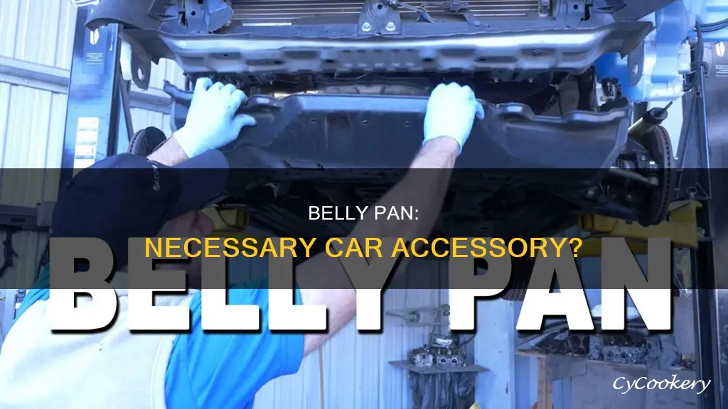 does my car need a belly pan