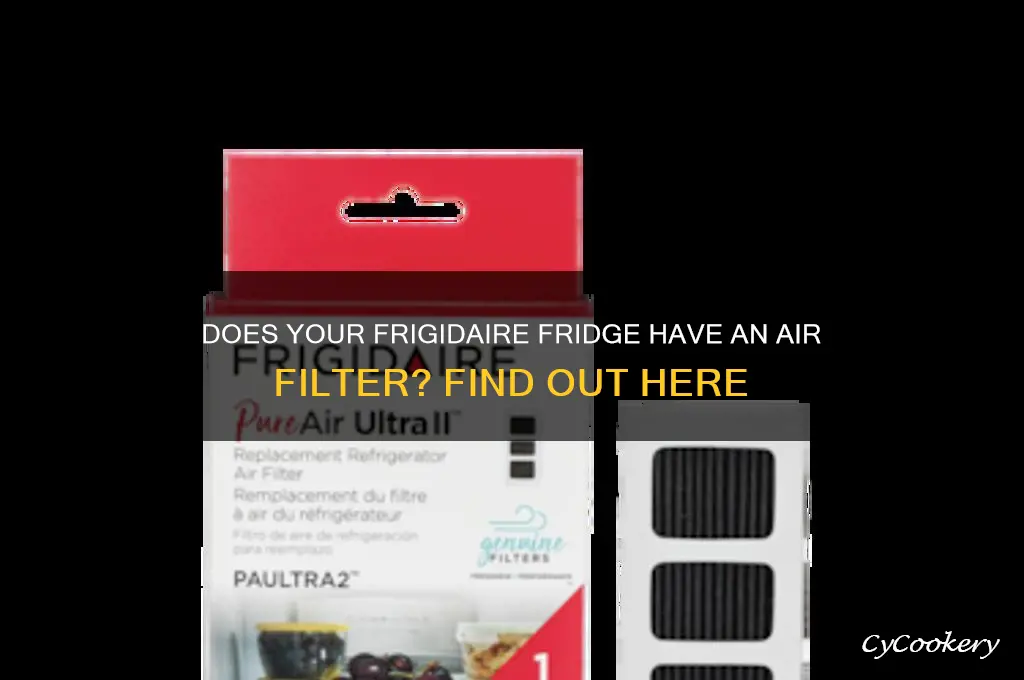 does my frigidaire refrigerator have an air filter