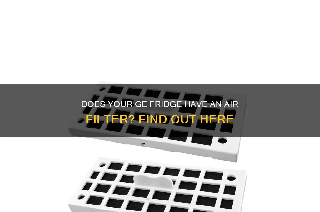 does my ge refrigerator have an air filter