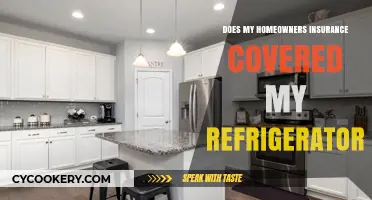 Is Your Refrigerator Covered by Homeowners Insurance? What to Know