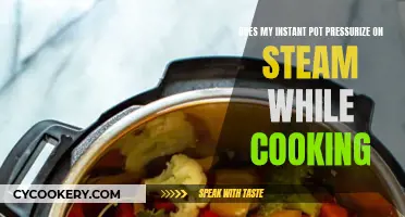 How Instant Pot Uses Steam to Cook