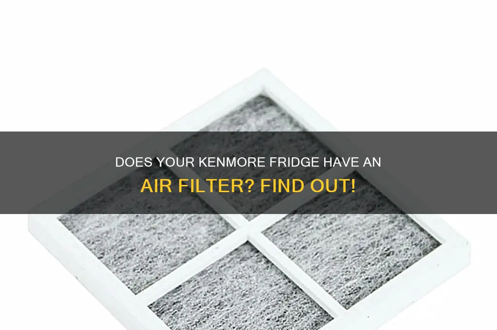 does my kenmore refrigerator have an air filter