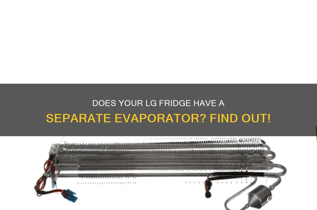does my lg refrigerator have separate evaporator