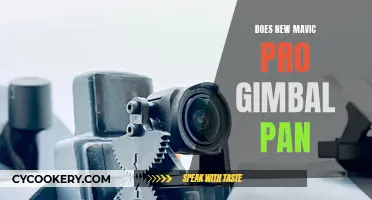 Mavic Pro Gimbal: Pan Functionality Explored