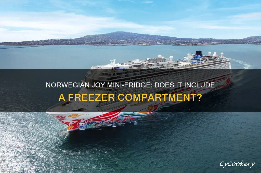 does norwegian joy mini-refrigerator have a freezer compartment
