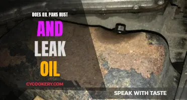 Oil Pan Maintenance: Rust and Leak Prevention