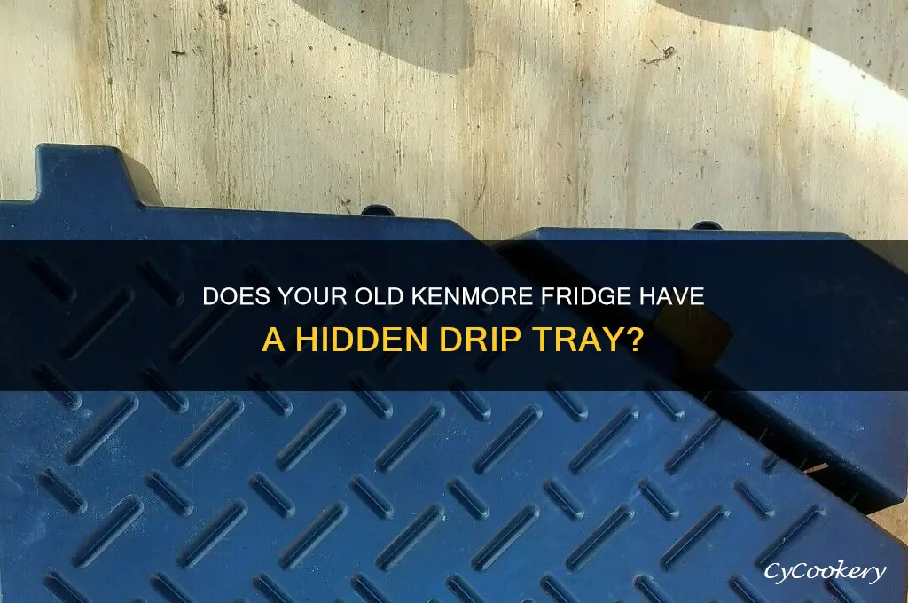 does old kenmore refrigerator have a drip tray underneath