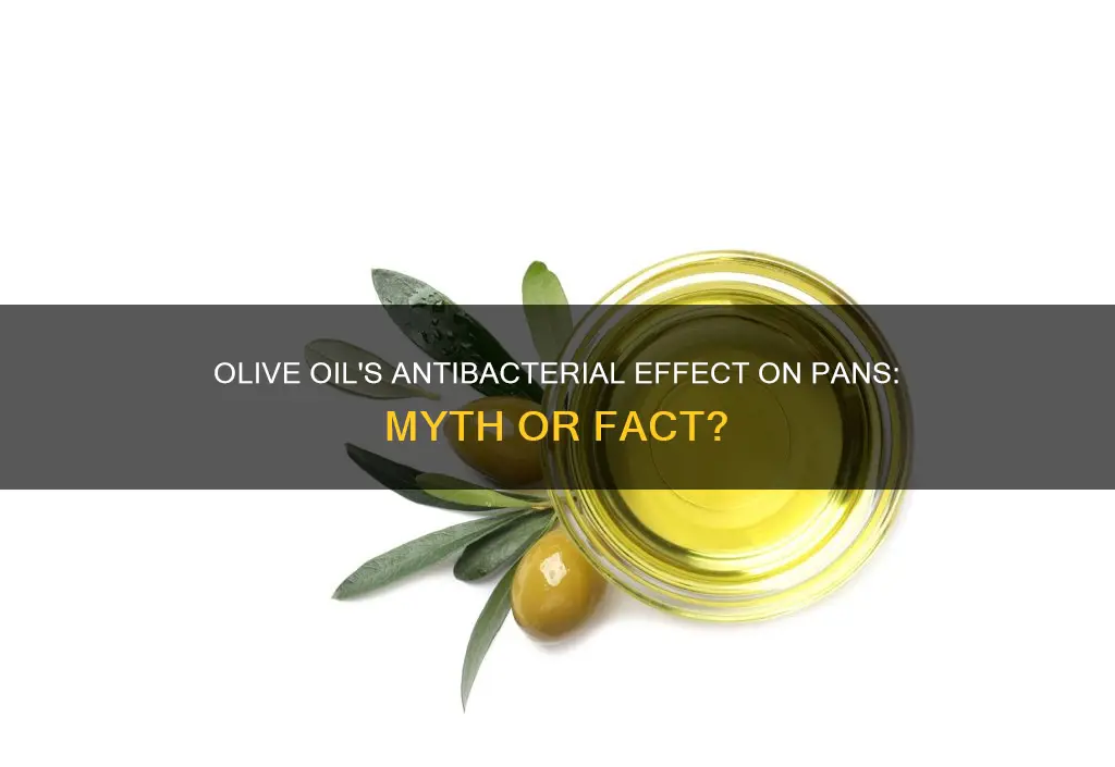 does olive oil have an antibacterial affect on pans