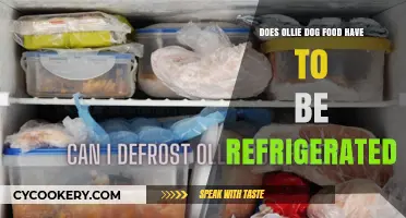 Does Ollie Dog Food Need Refrigeration? Storage Tips for Fresh Meals