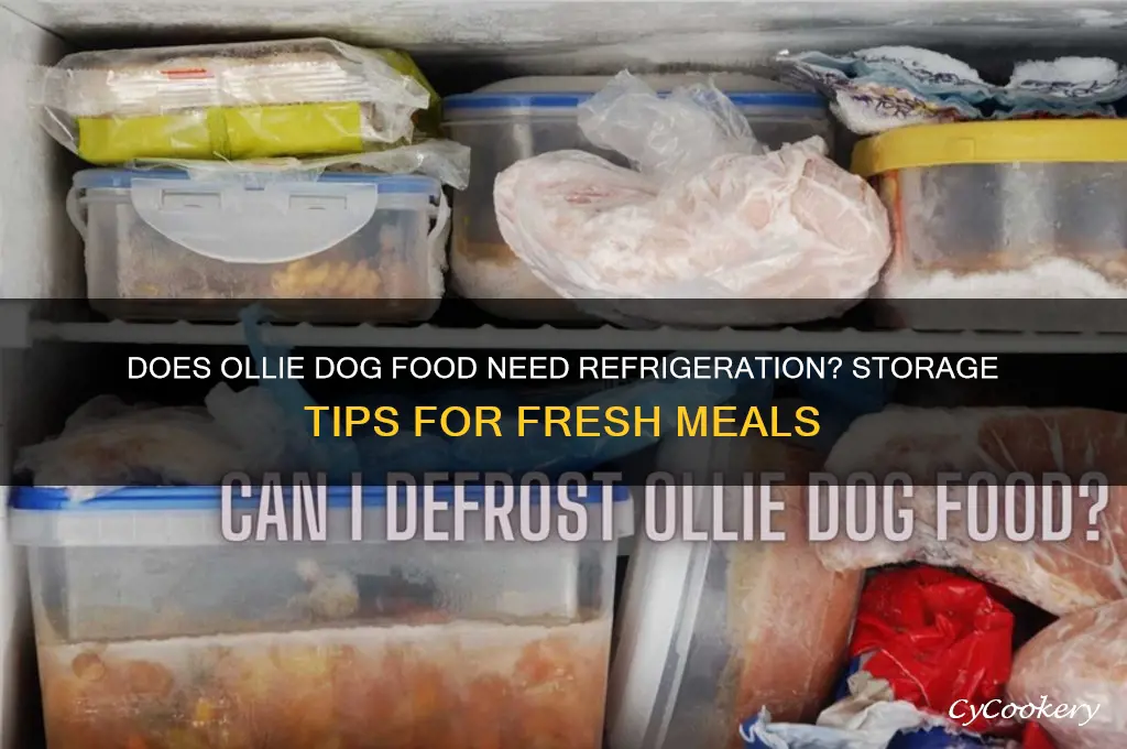 does ollie dog food have to be refrigerated