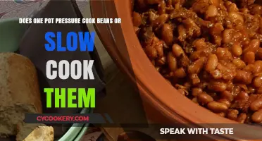 Pressure vs. Slow Cooking: Which Is Best for Beans?