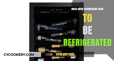 Should Open Champagne Be Refrigerated? Storage Tips for Sparkling Wine