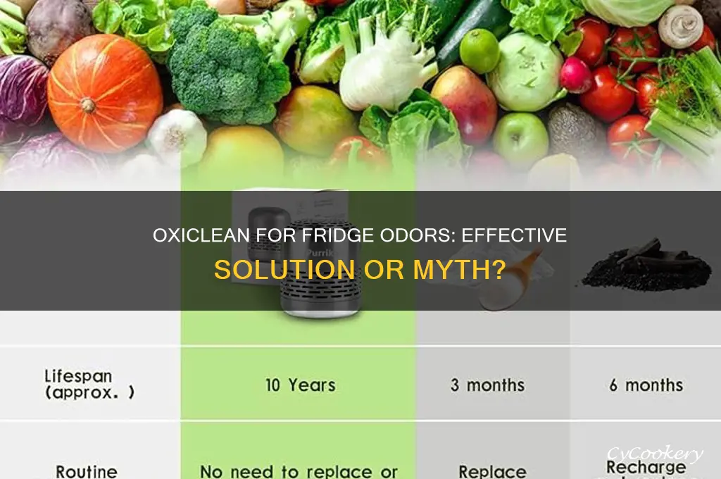 does oxiclean get rid of odors from refrigerator