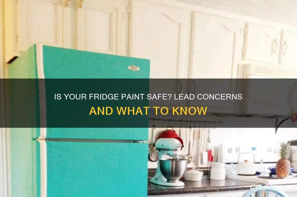 does paint in the refrigerator has lead