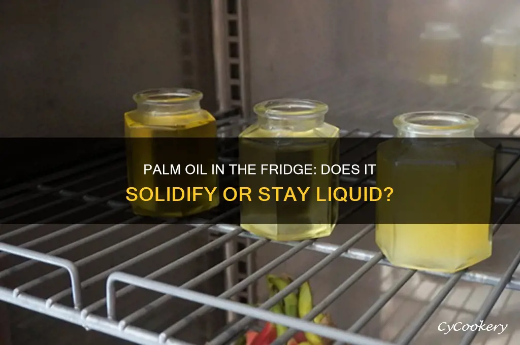 does palm oil solidify in the refrigerator