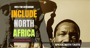 Pan-Africanism: United Africa or Divided?