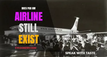 The Rise and Fall of Pan Am: What Happened?