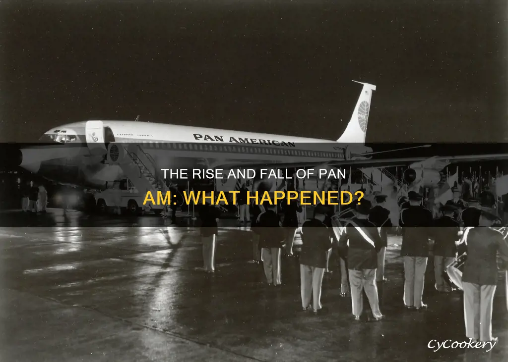 does pan am airline still exist