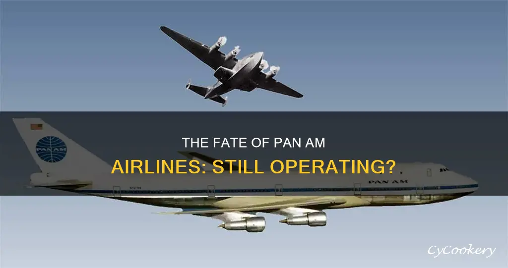 does pan am airlines still exist
