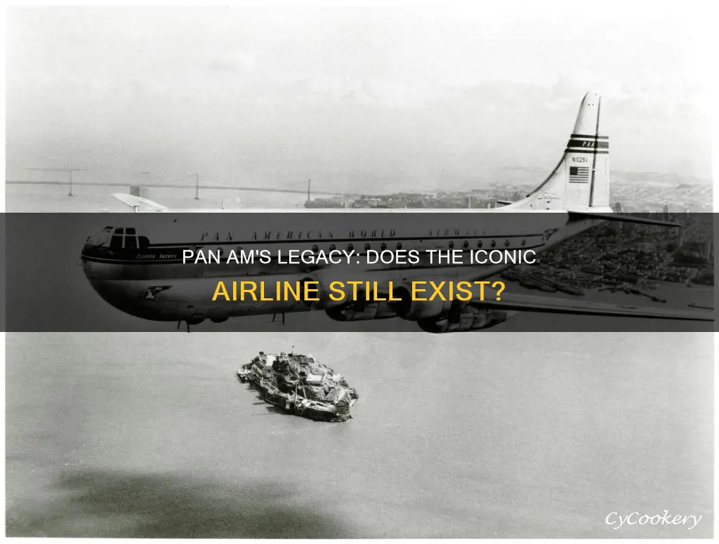 does pan am still exist