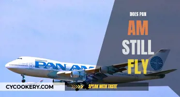The Pan Am Legacy: Still Flying High?