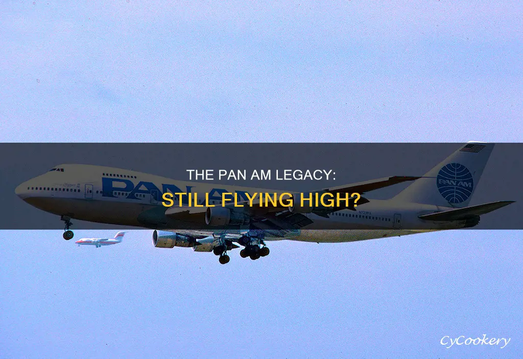 does pan am still fly