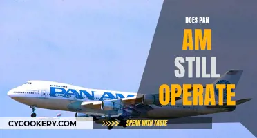Pan Am: Still Flying High?