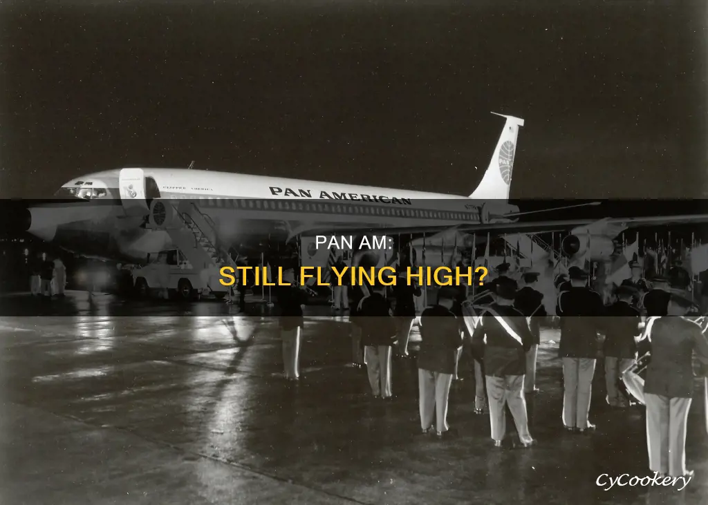 does pan am still operate