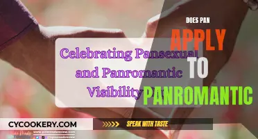 Understanding Panromanticism: Does the PAN Flag Represent It?