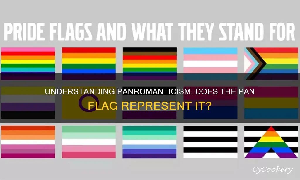 does pan apply to panromantic