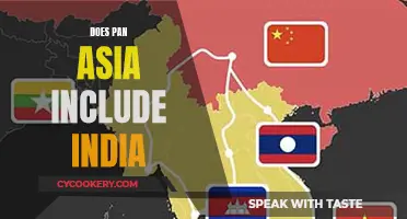 Pan-Asia: Does India Belong in the Club?