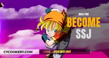 The Power of Pan: Unlocking SSJ Transformation