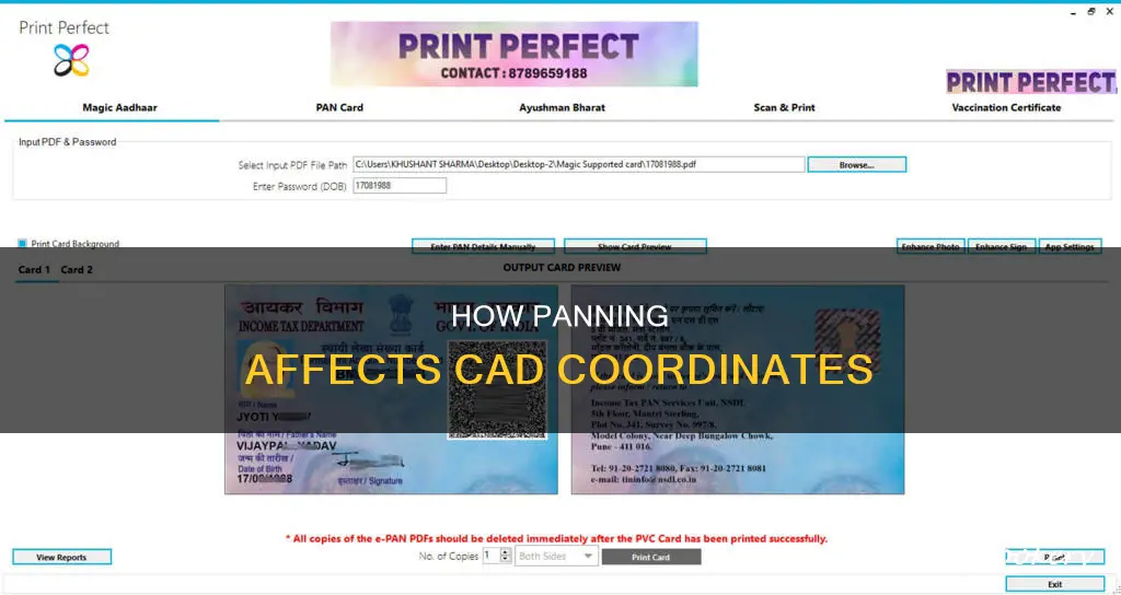 does pan change the coordinates in cad