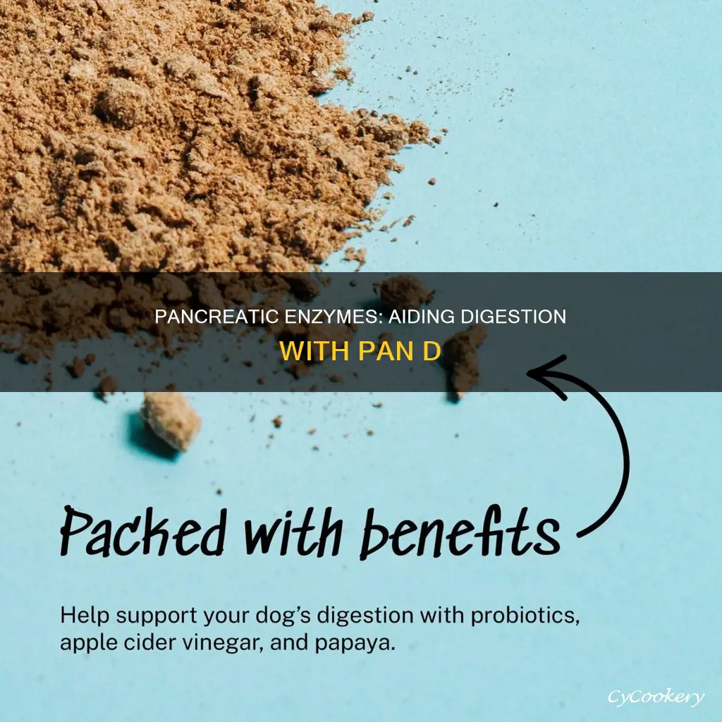 does pan d help in digestion