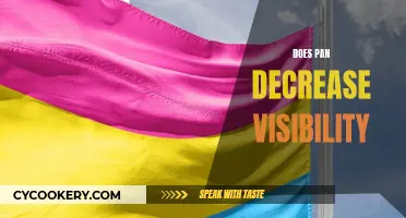 How Using a Pan Affects Visibility
