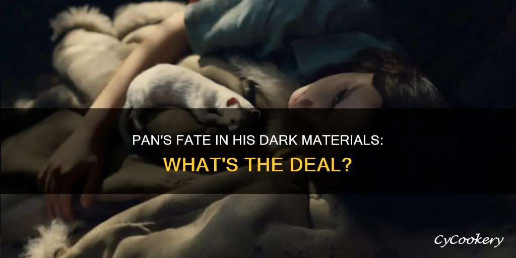 does pan die his dark materials