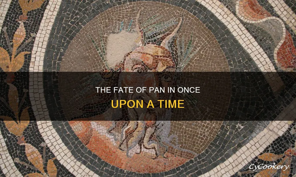 does pan die in once upon a time