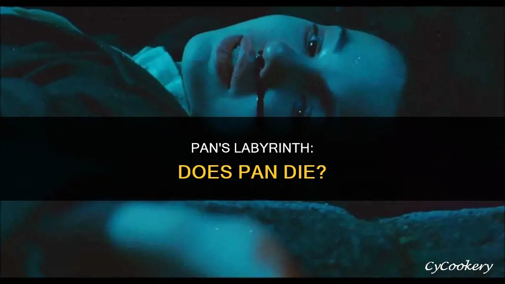 does pan die in pan
