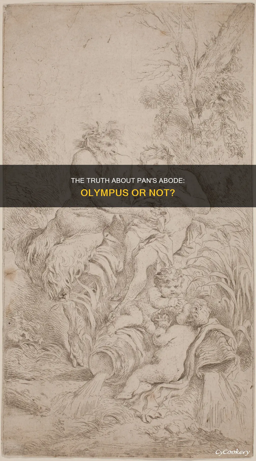 does pan dwell on olympus