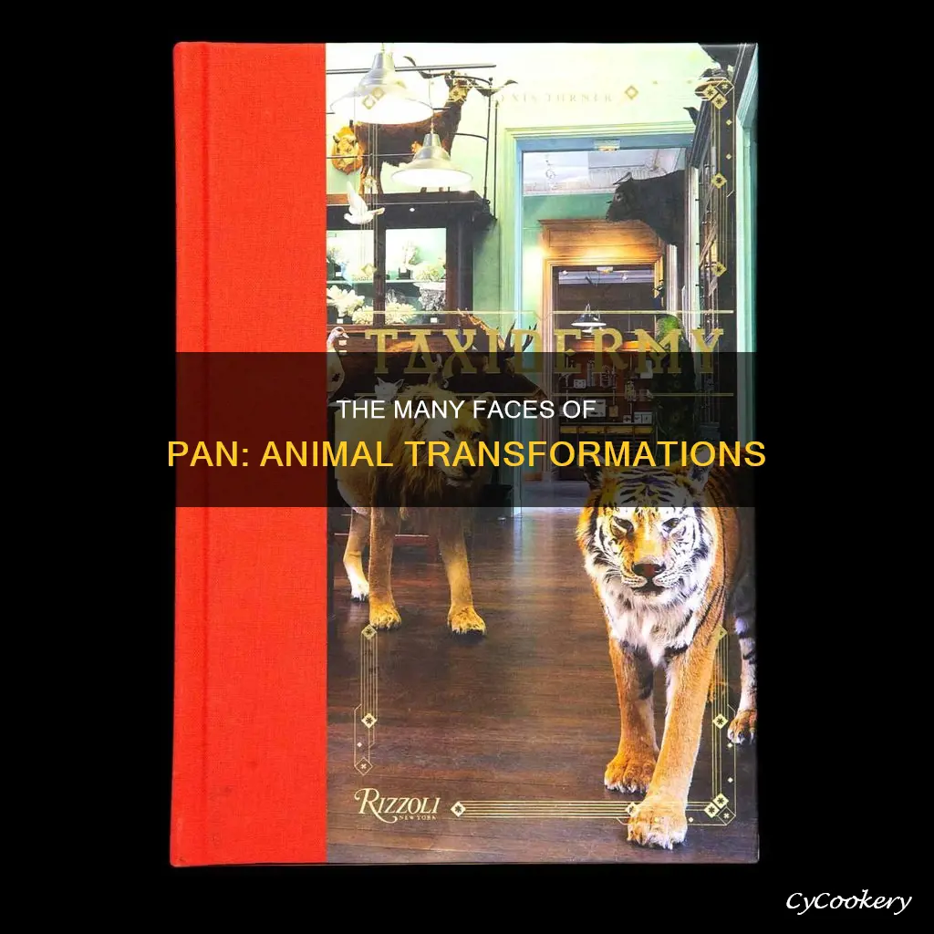 does pan ever be one animal
