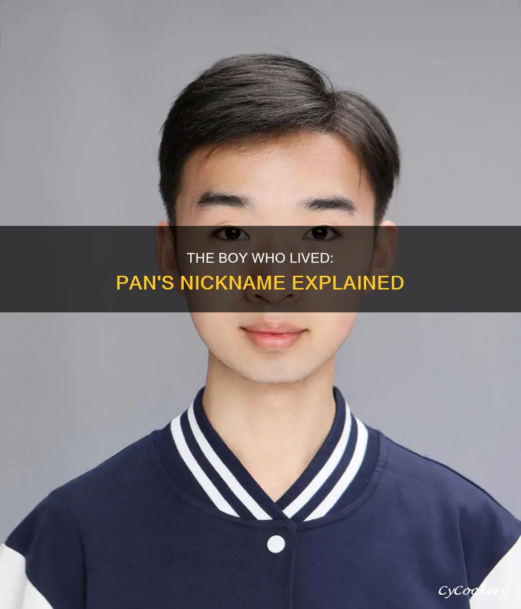 does pan have a niclname