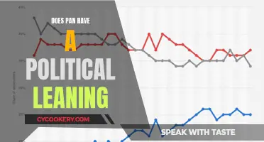 Pan's Political Leaning: Exploring the Evidence