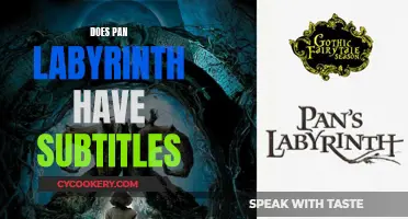 Pan's Labyrinth' Subtitles: Enhancing the Fantasy Experienc
