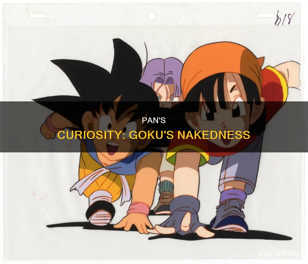 does pan like seeing goku naked