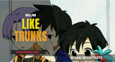 The Unspoken Truth: Pan's Feelings for Trunks