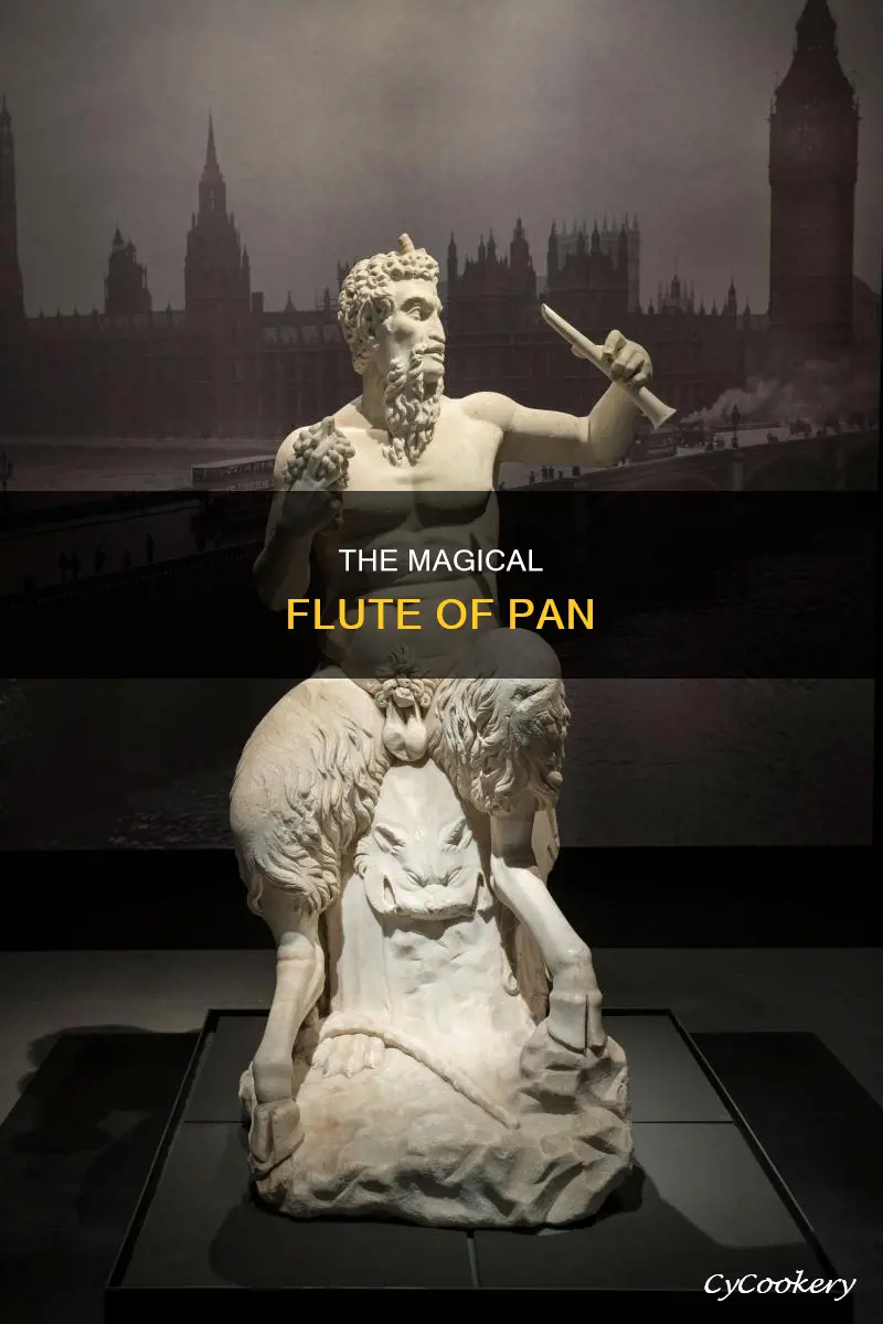 does pan play a flute