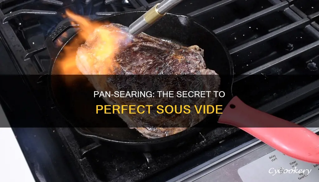 does pan searing do anything for sous vide