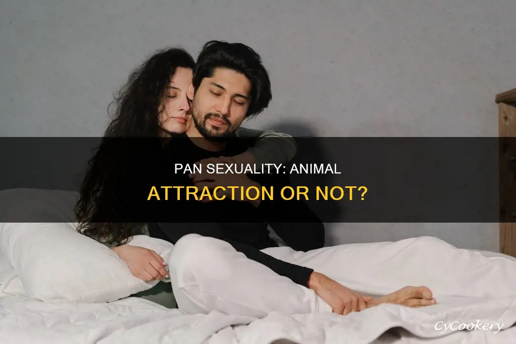 does pan sexuality include animals