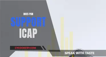 PAN and ICAP: A Powerful Integration