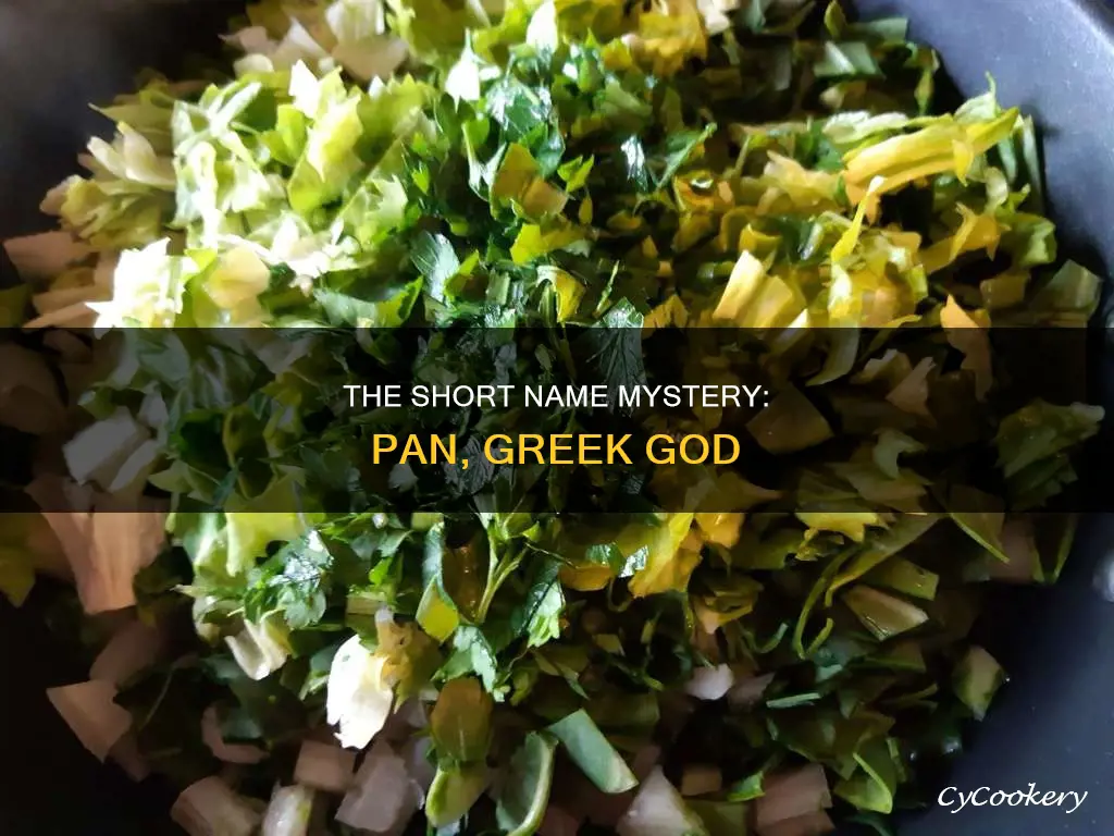 does pan the greek god have a short name
